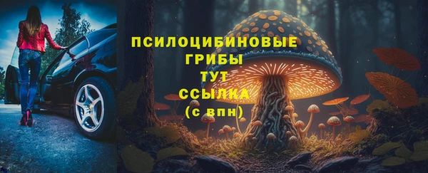 ГАЛЛЮЦИНОГЕННЫЕ ГРИБЫ Абдулино