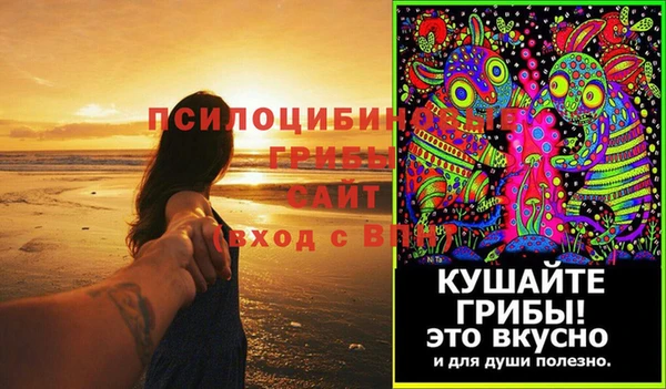 ГАЛЛЮЦИНОГЕННЫЕ ГРИБЫ Абдулино